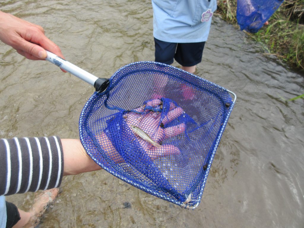 まふみ幼稚園のブログ