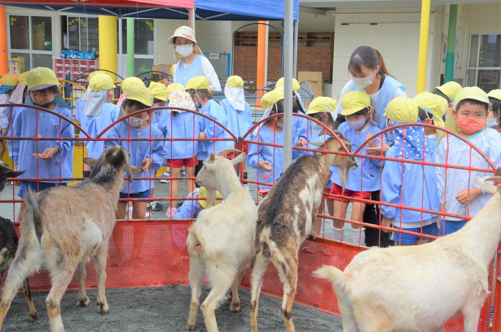 まふみ幼稚園のブログ