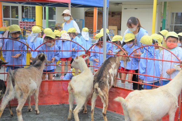 まふみ幼稚園のブログ