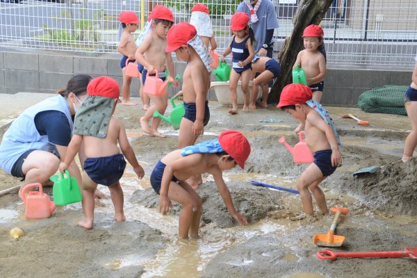 まふみ幼稚園のブログ