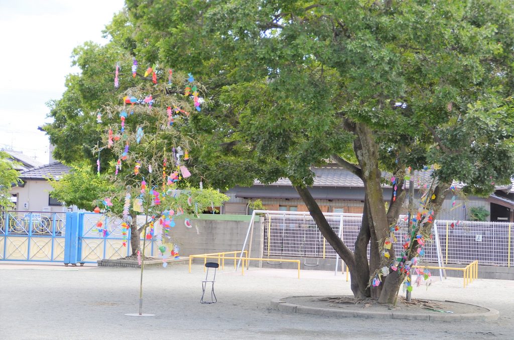 まふみ幼稚園のブログ