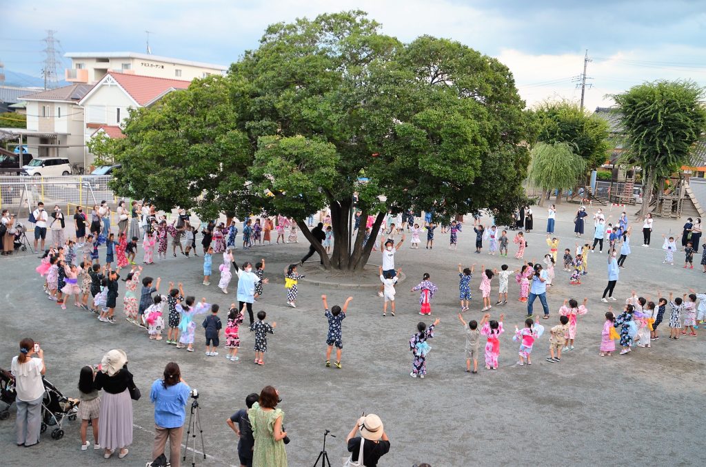 まふみ幼稚園のブログ