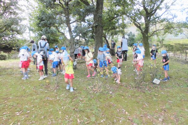 まふみ幼稚園のブログ