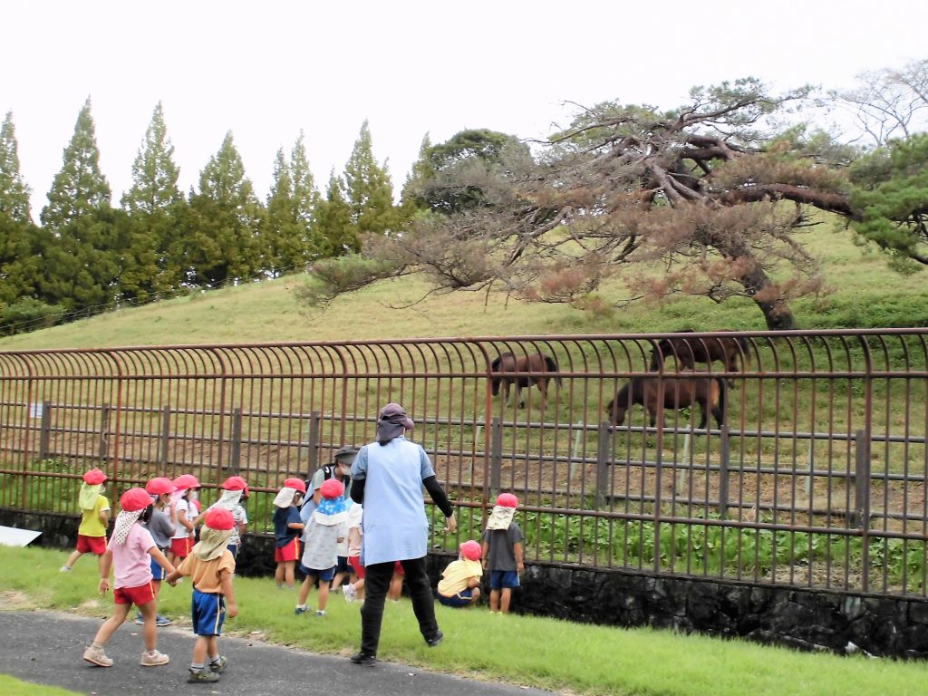 まふみ幼稚園のブログ