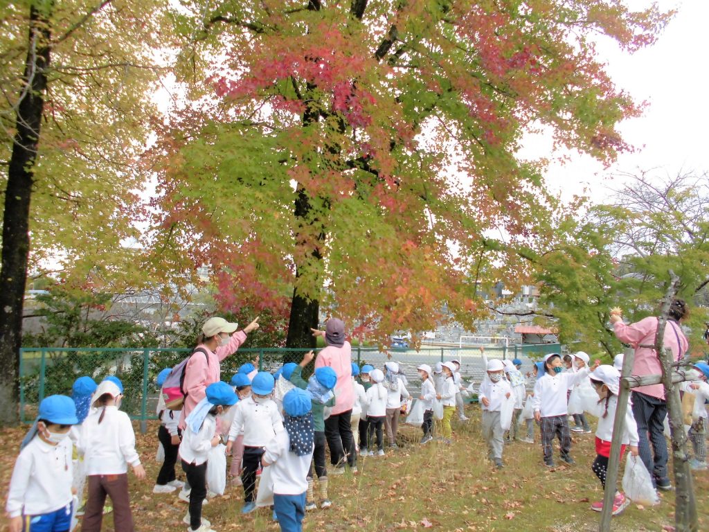 まふみ幼稚園のブログ