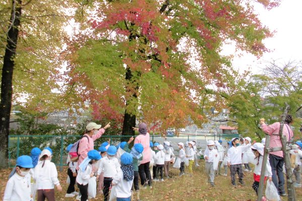 まふみ幼稚園のブログ