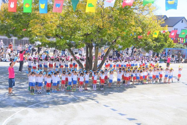 まふみ幼稚園のブログ