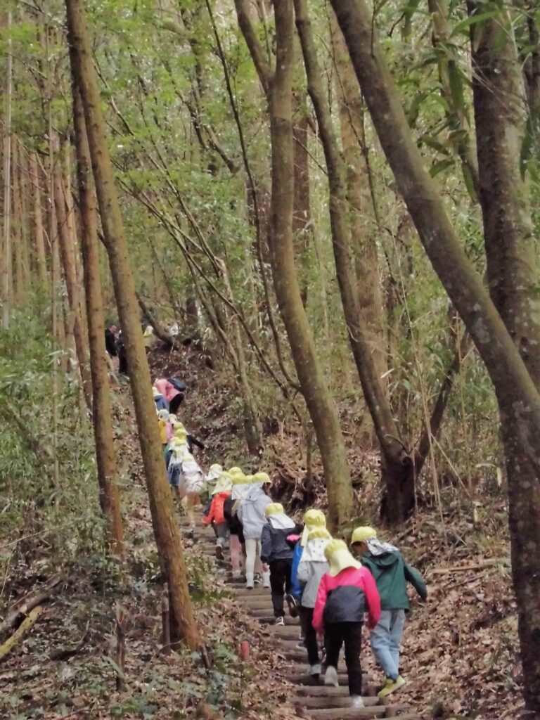 まふみ幼稚園のブログ