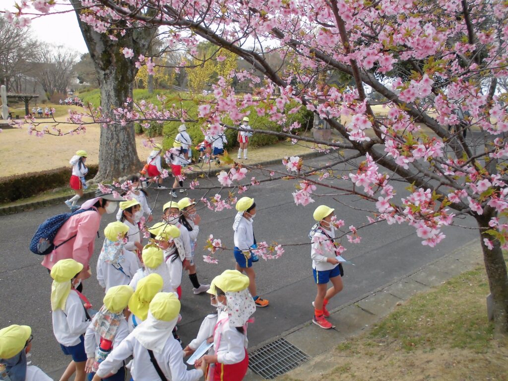 まふみ幼稚園のブログ