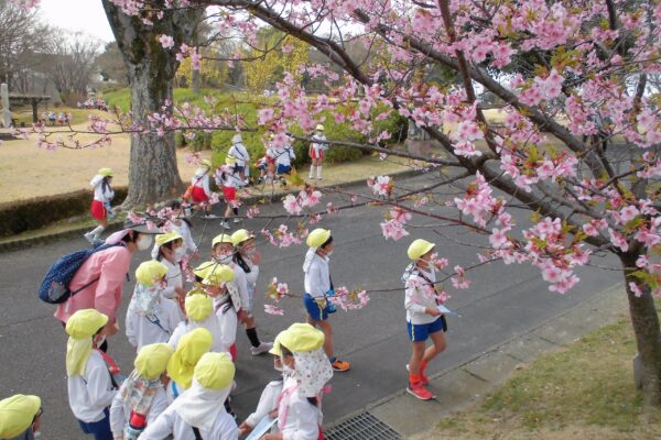 まふみ幼稚園のブログ