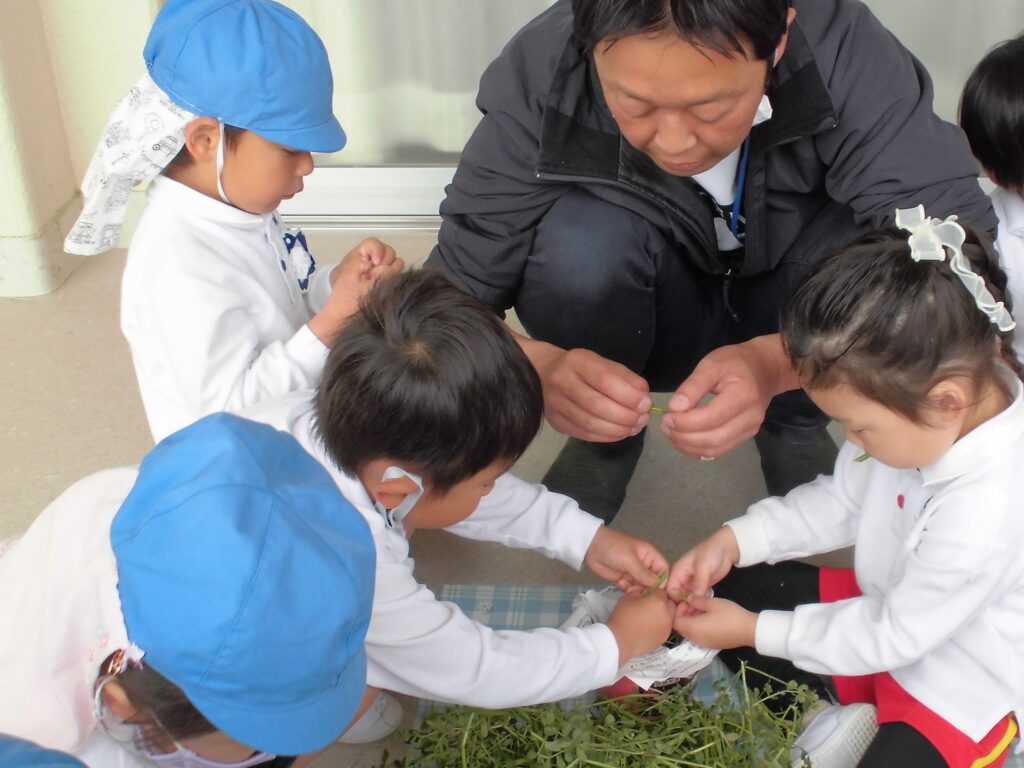 まふみ幼稚園のブログ