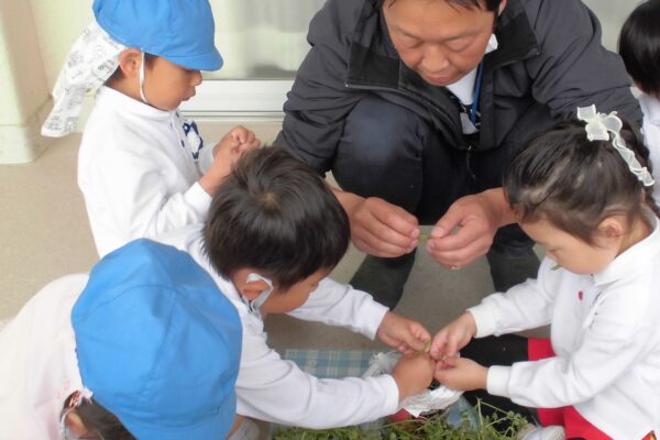 まふみ幼稚園のブログ