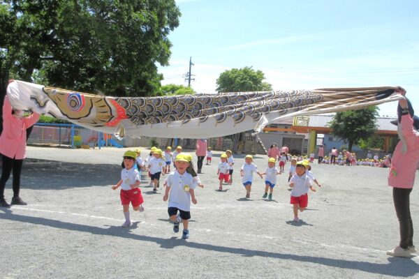 まふみ幼稚園のブログ