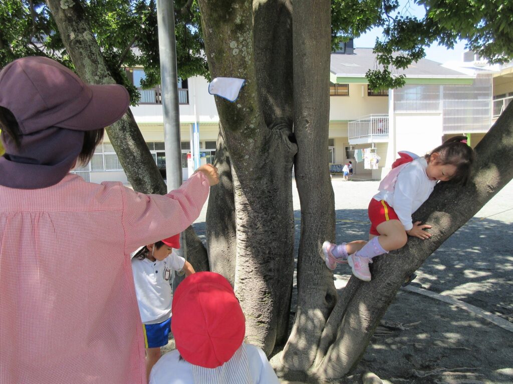 まふみ幼稚園のブログ