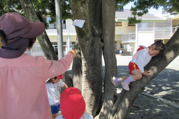 まふみ幼稚園のブログ