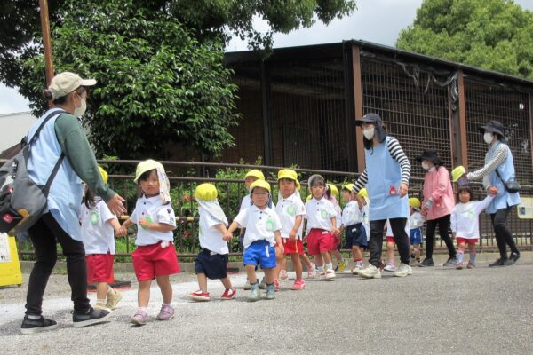 まふみ幼稚園のブログ