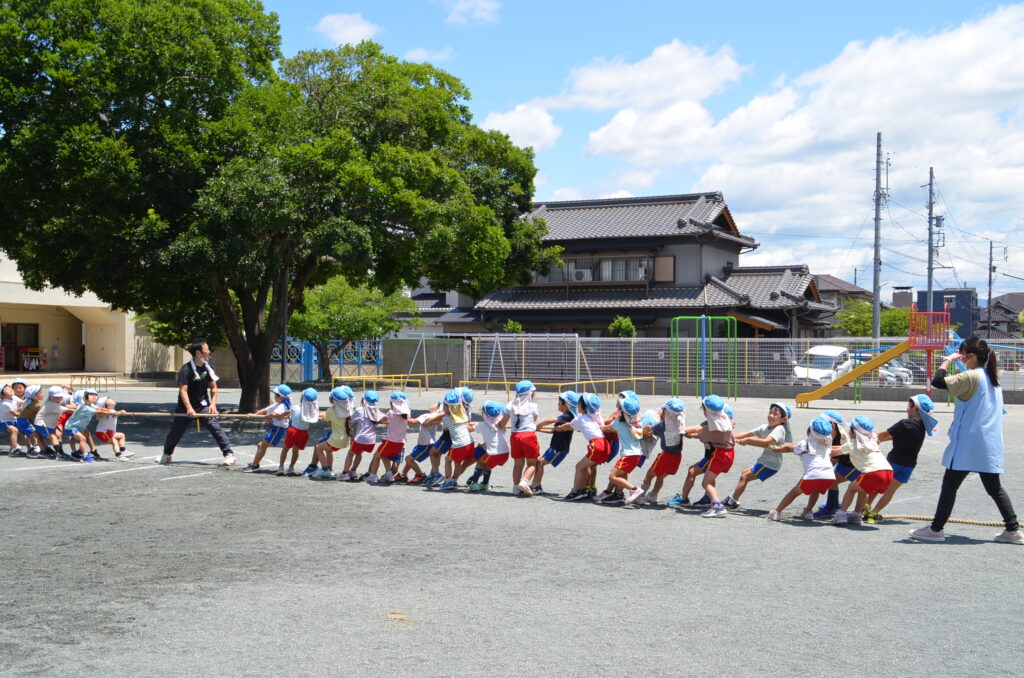 まふみ幼稚園のブログ