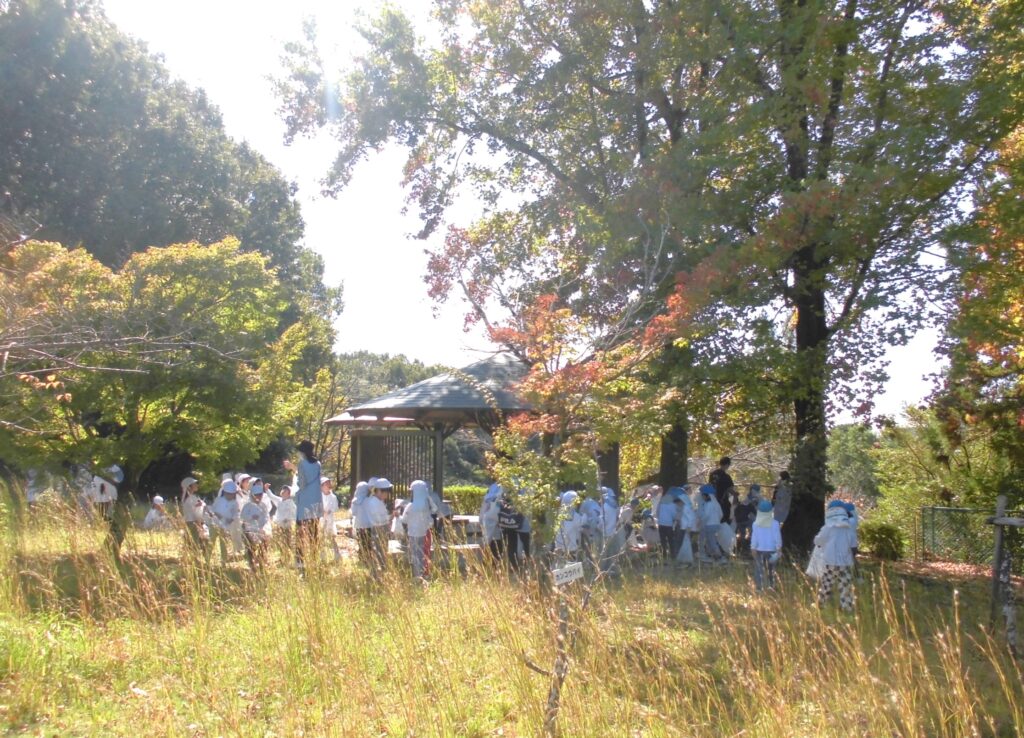 まふみ幼稚園のブログ