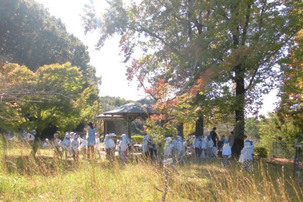 まふみ幼稚園のブログ