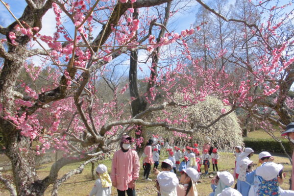 まふみ幼稚園のブログ