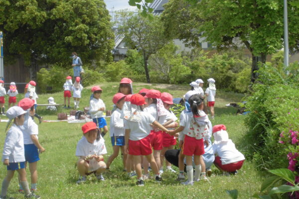 まふみ幼稚園のブログ