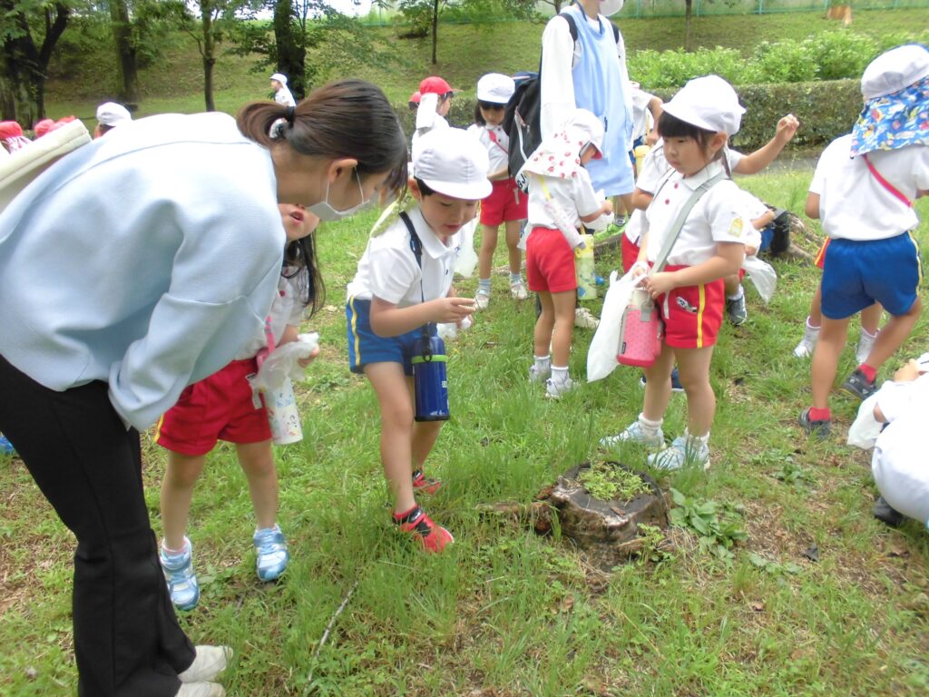 まふみ幼稚園のブログ