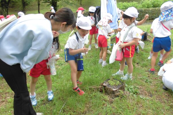 まふみ幼稚園のブログ