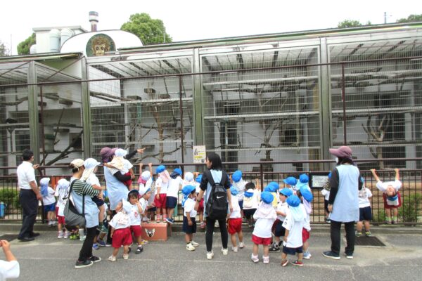 まふみ幼稚園のブログ