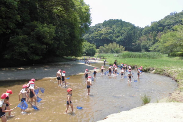 まふみ幼稚園のブログ