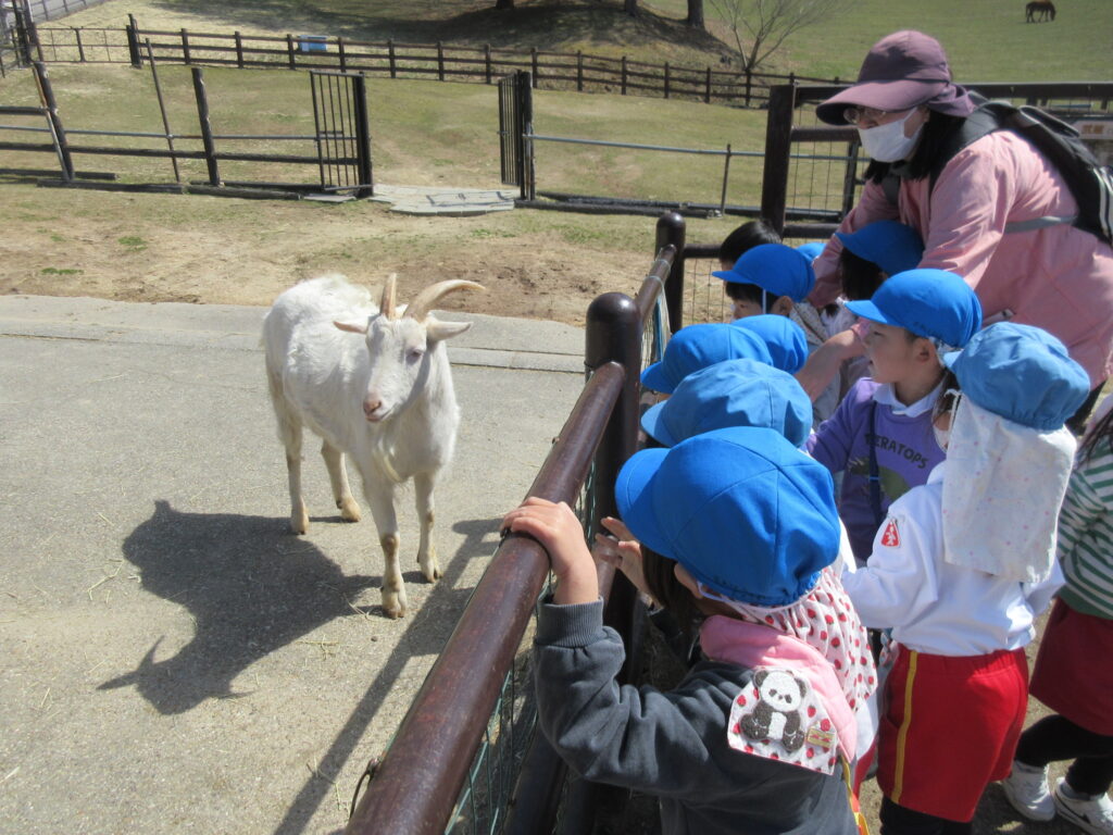 まふみ幼稚園のブログ
