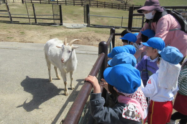 まふみ幼稚園のブログ