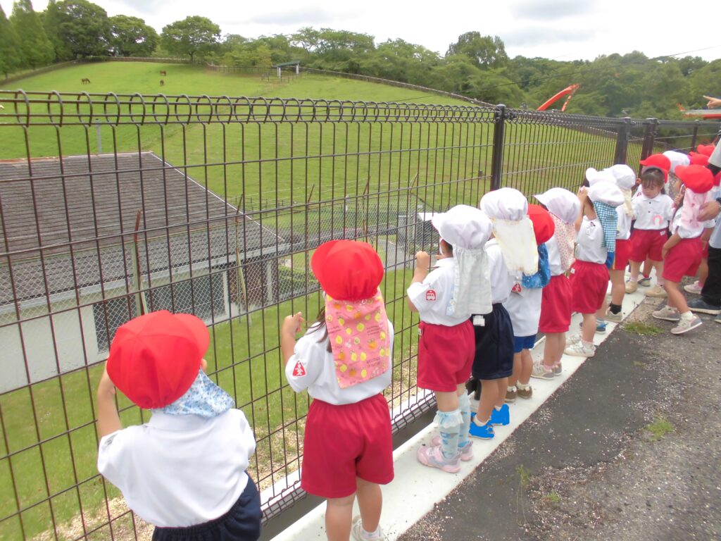 まふみ幼稚園のブログ