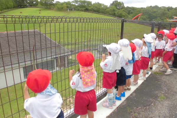 まふみ幼稚園のブログ