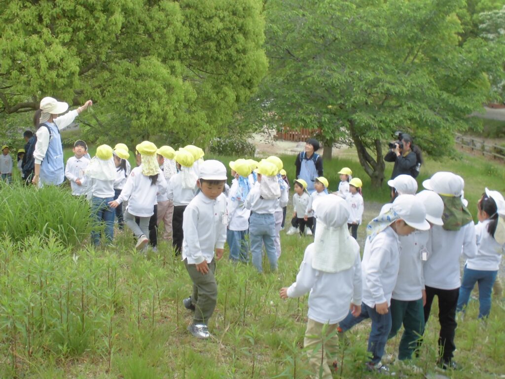 まふみ幼稚園のブログ