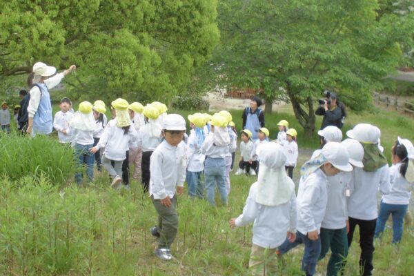 まふみ幼稚園のブログ