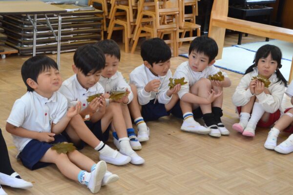 まふみ幼稚園のブログ