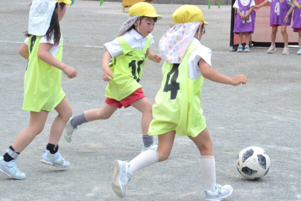 まふみ幼稚園のブログ