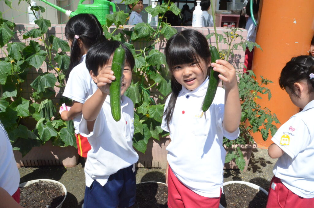 まふみ幼稚園のブログ