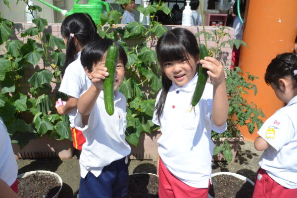 まふみ幼稚園のブログ
