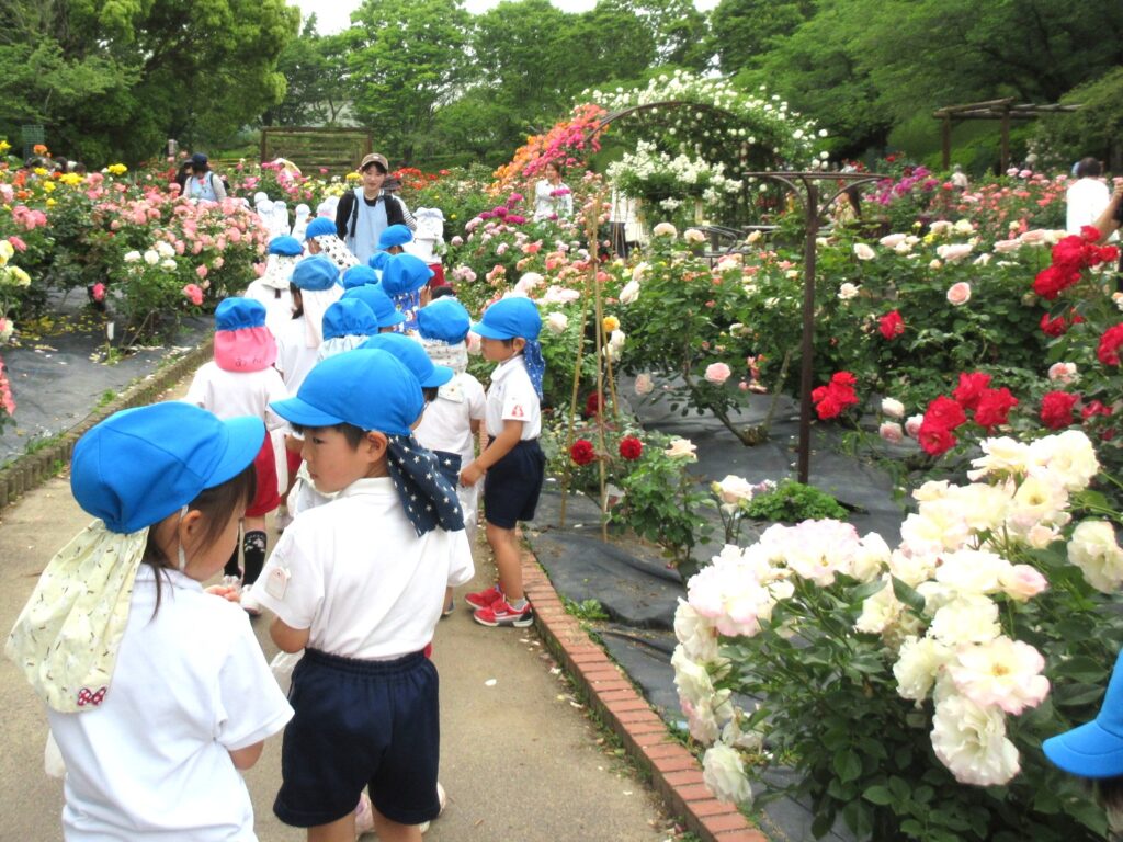 まふみ幼稚園のブログ