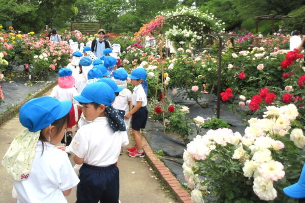 まふみ幼稚園のブログ