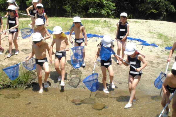 まふみ幼稚園のブログ
