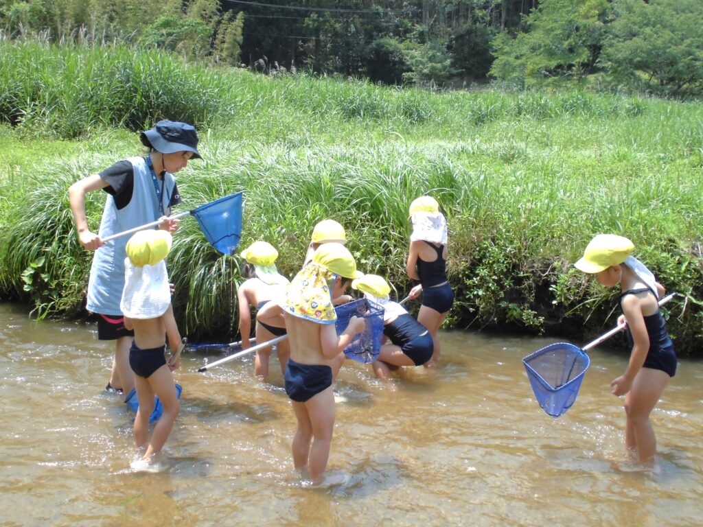 まふみ幼稚園のブログ