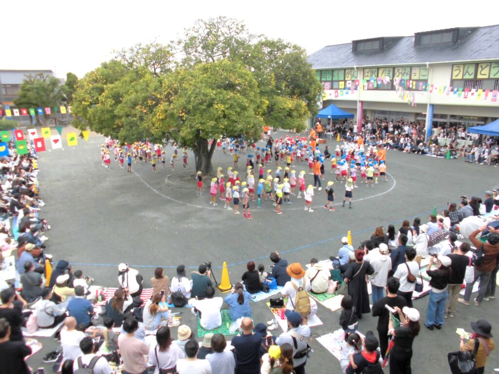 まふみ幼稚園のブログ