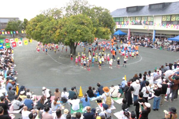 まふみ幼稚園のブログ
