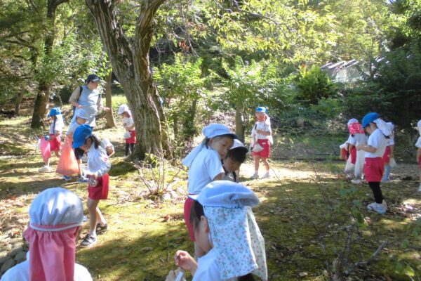 まふみ幼稚園のブログ