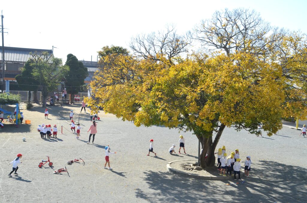 まふみ幼稚園のブログ