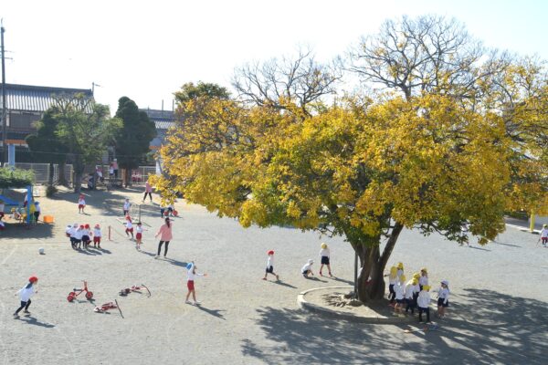 まふみ幼稚園のブログ