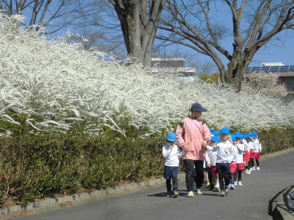 CIMG5447 まふみ幼稚園のブログ