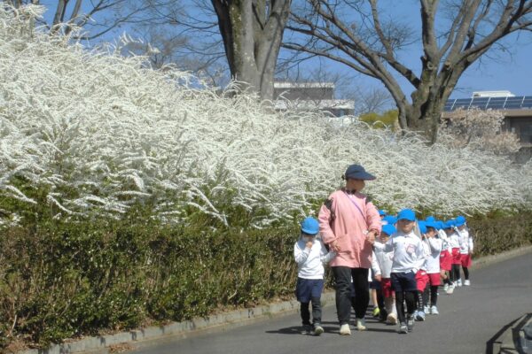 まふみ幼稚園のブログ